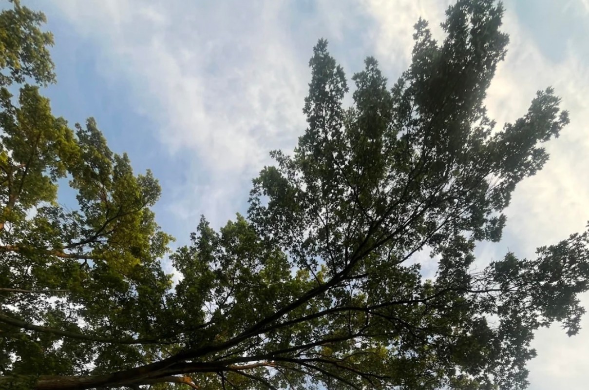 "It's my problem afterward."