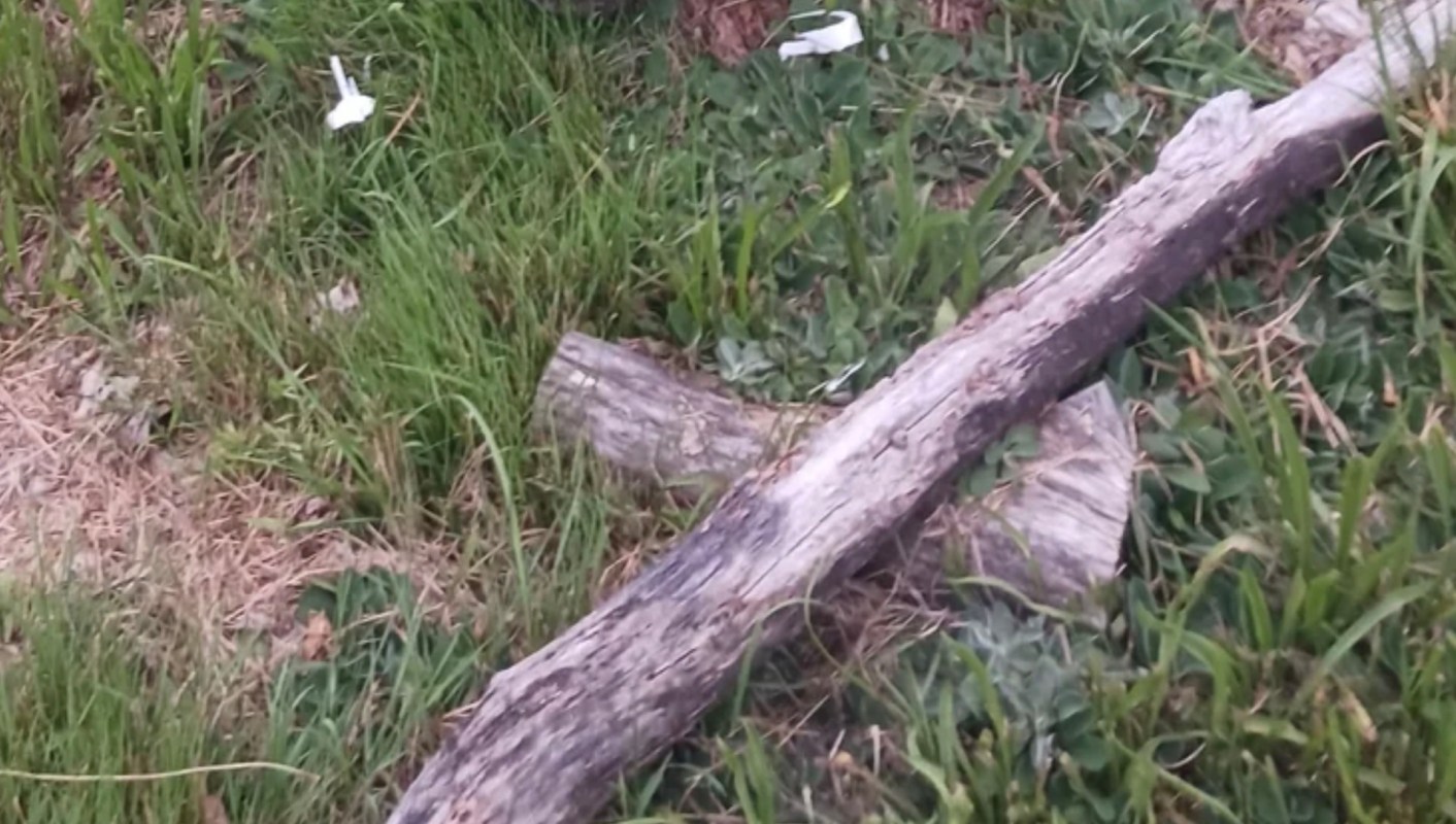 "I don't want to use poison unless I have to."