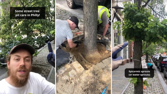 "You have a dream job, congrats!"