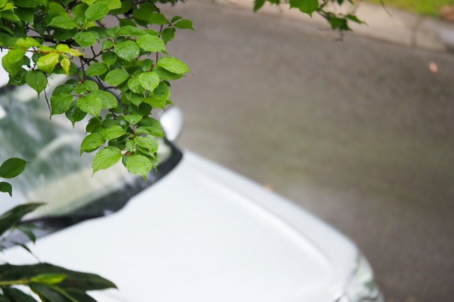 "Might want to check with a lawyer first."