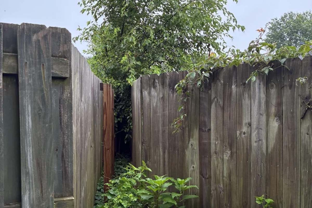 Commenters offered advice.