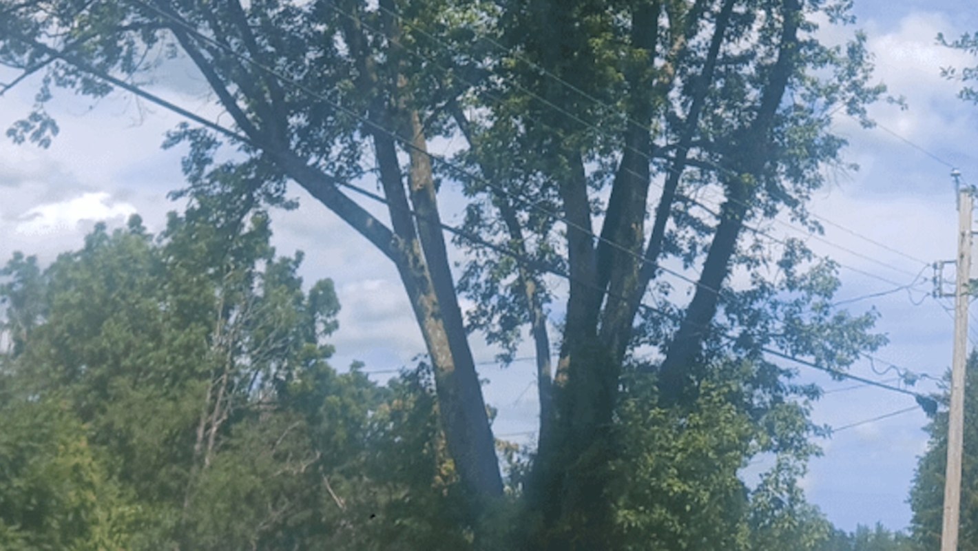 "They moved out a month later."