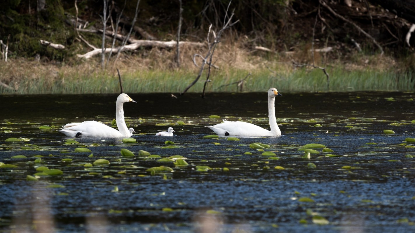 "It's frustrating because we've educated the public for years already."