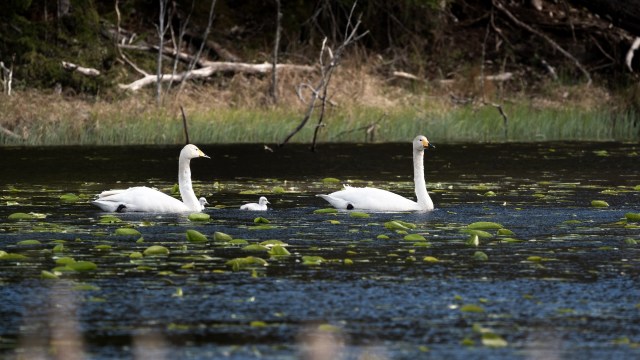 "It's frustrating because we've educated the public for years already."