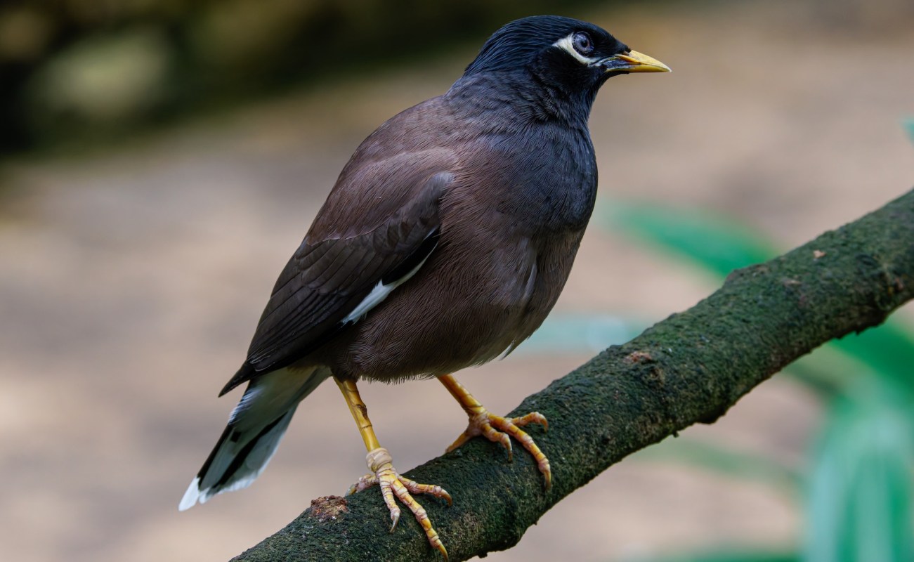 The researchers made a few recommendations.