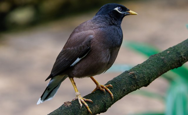 The researchers made a few recommendations.