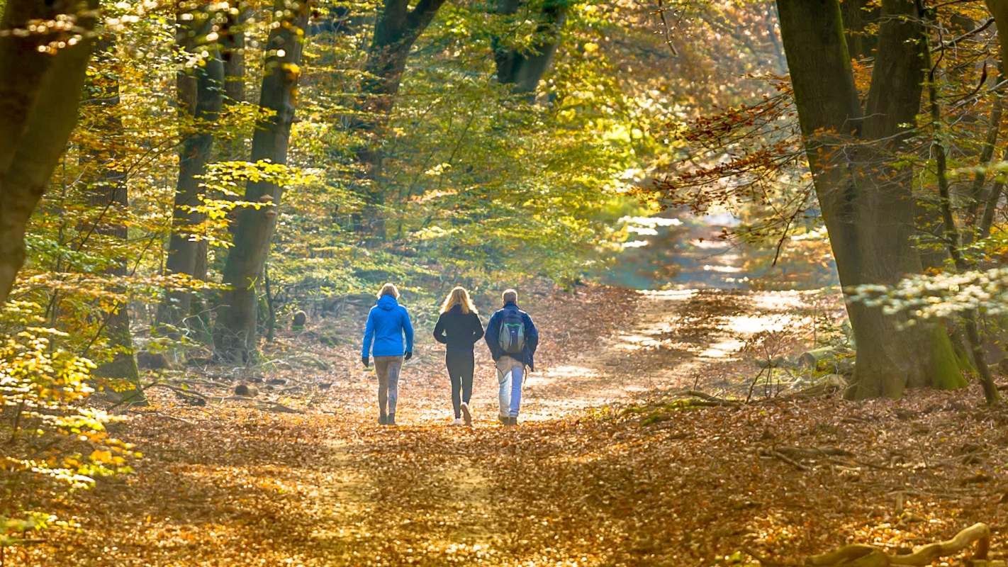 "A key strategy for enhancing public health and well-being."