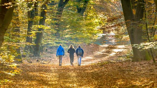 "A key strategy for enhancing public health and well-being."