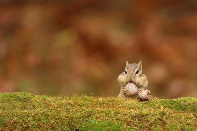 "It’s important to ... try to understand what these guys are up to."