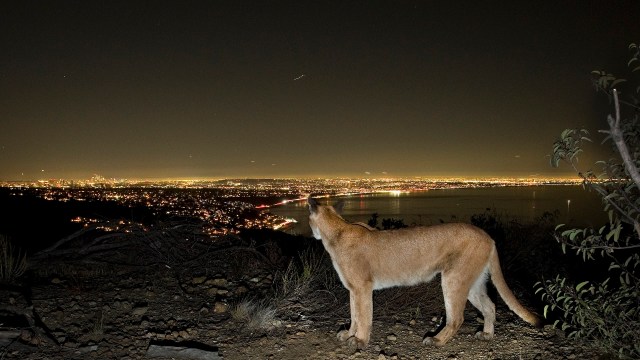 "The potential is out there."