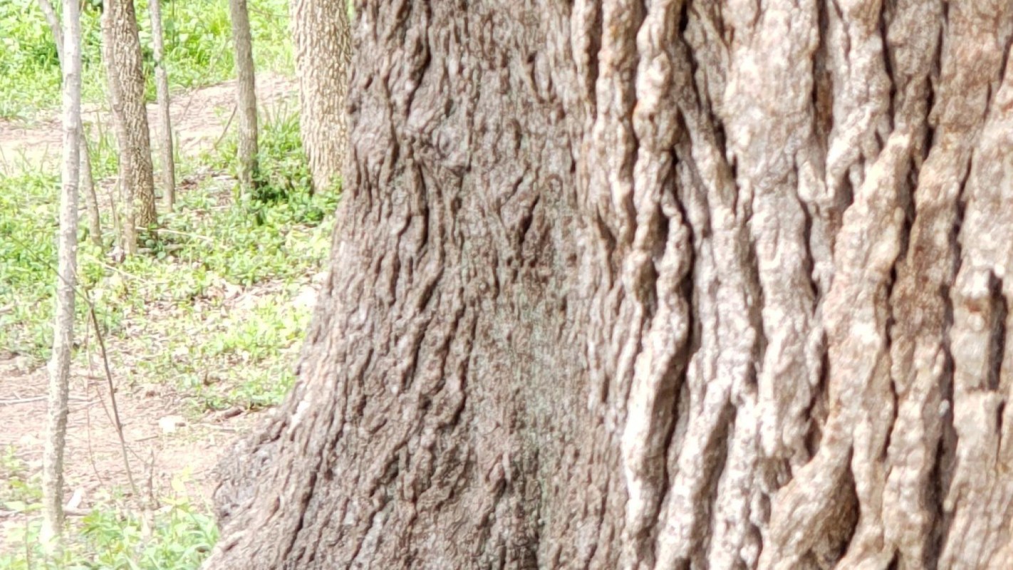 Such acts can make it harder for others to enjoy the outdoors.