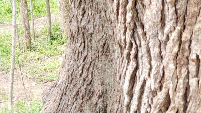 Such acts can make it harder for others to enjoy the outdoors.