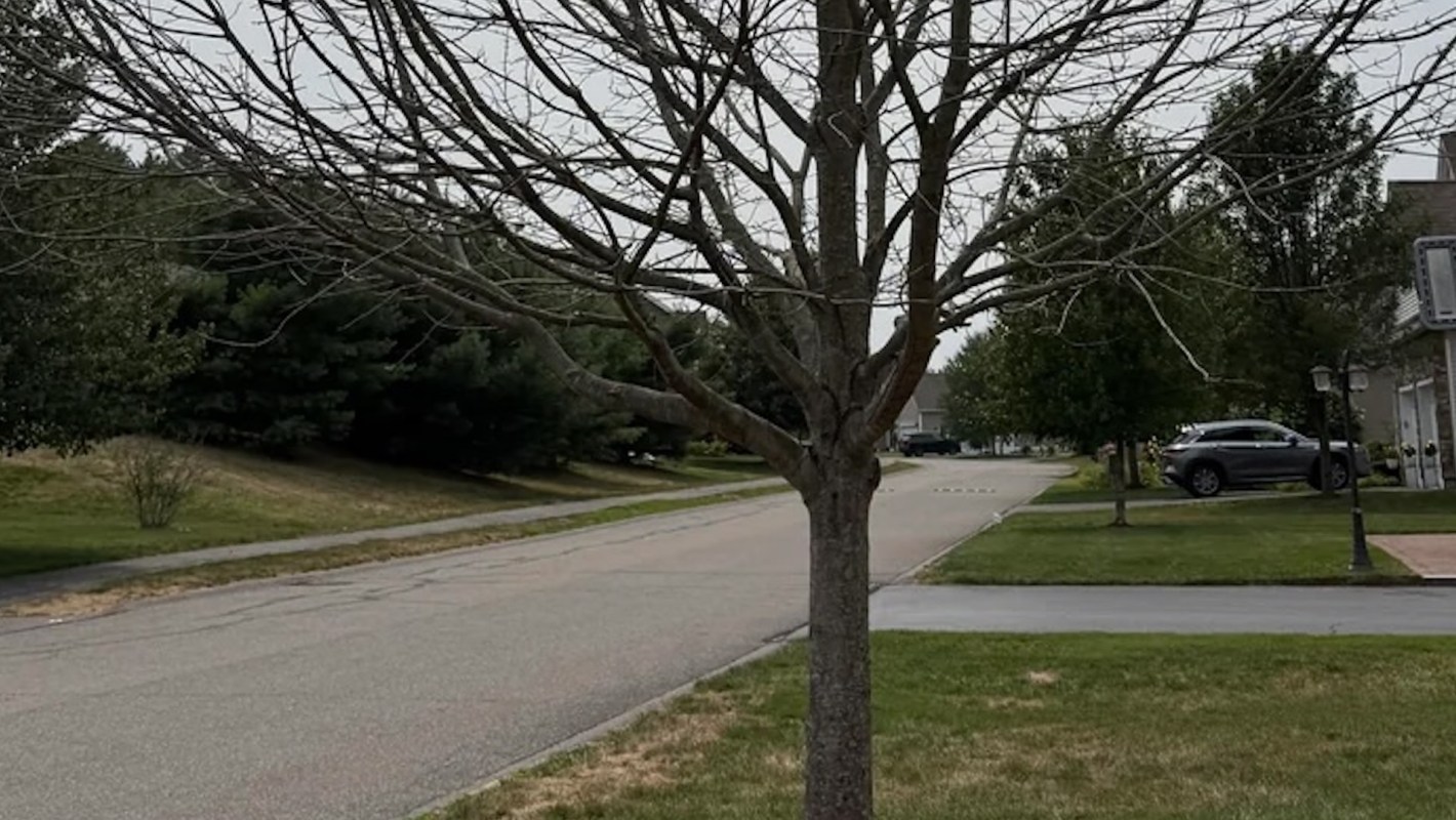 "I will review carefully."