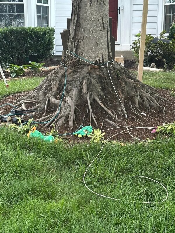 "All the growth was from prior owners."