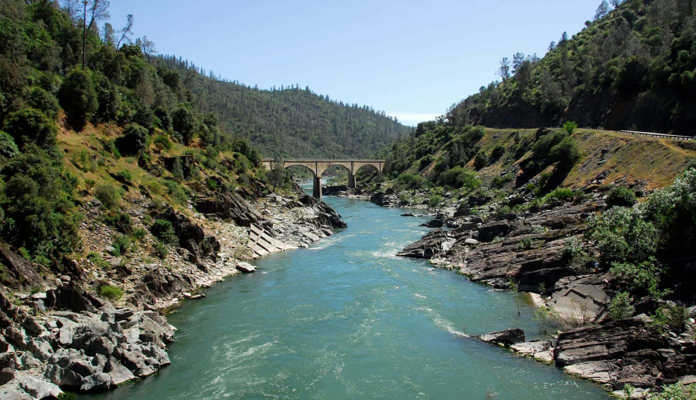 "The emerging issue ... and its diverse impacts highlight the critical need for interdisciplinary research."