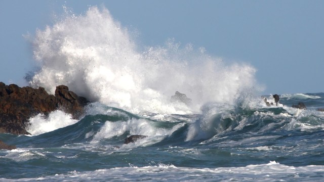 "You have to see it for yourself."