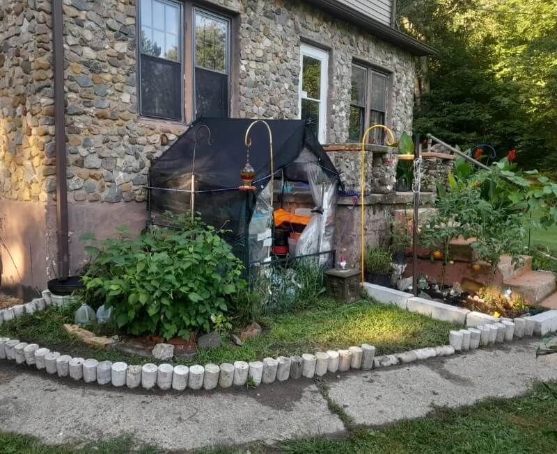 "What a great idea."