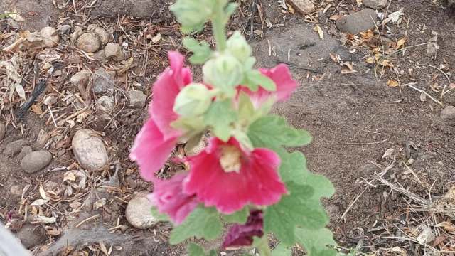 "This is triggering me."