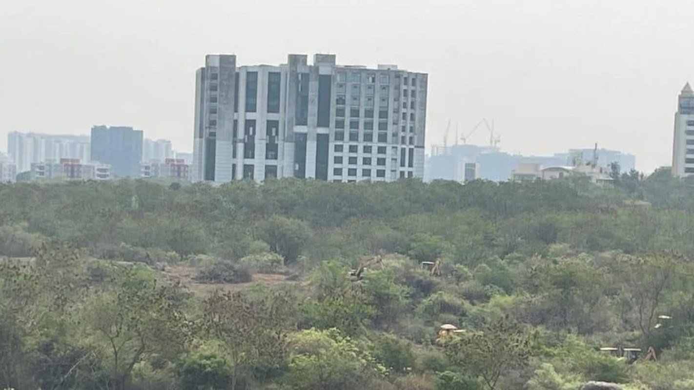 "It's been a nightmare watching this happen in front of our eyes."