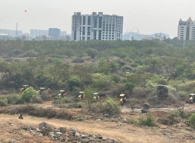 "It's been a nightmare watching this happen in front of our eyes."