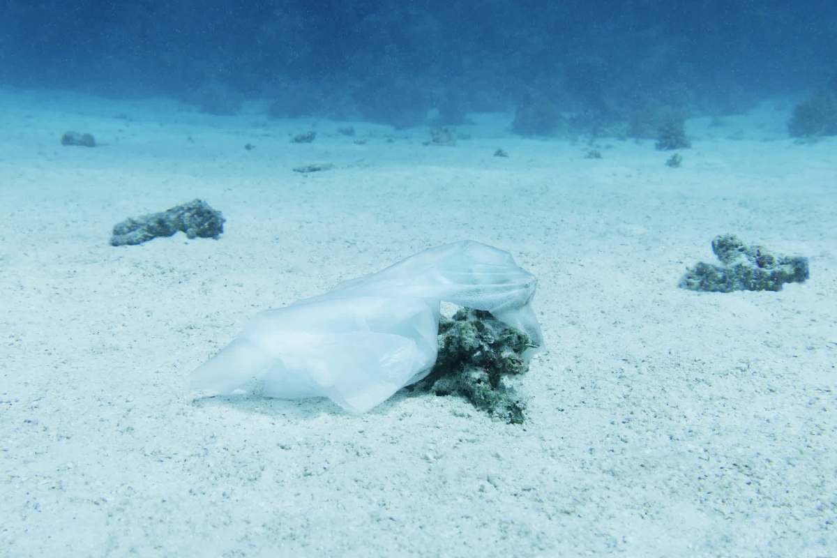 It might mean paying more for some products.