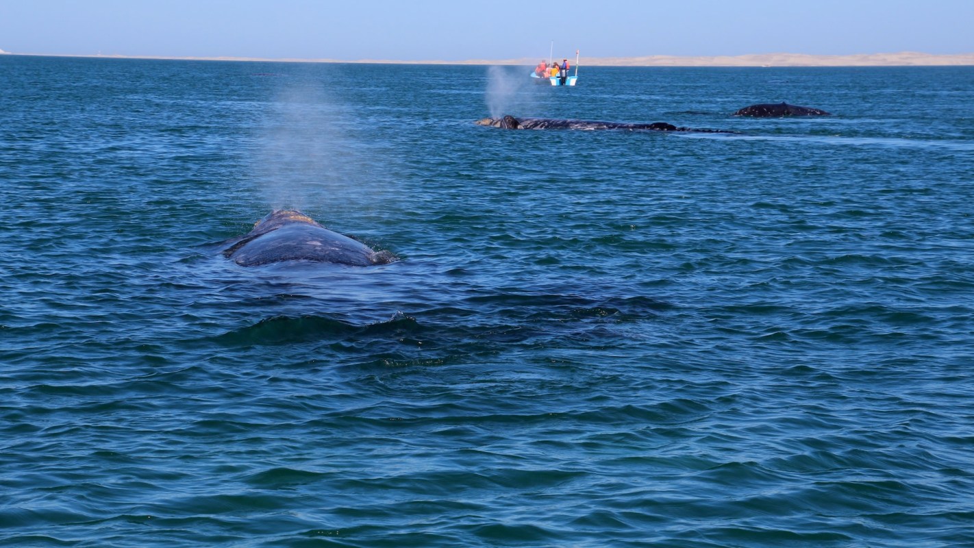 "We might be better off than other places. But that doesn't mean we cannot keep improving."