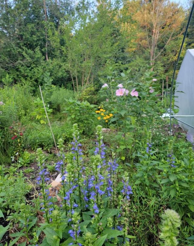 "This is so well done!"