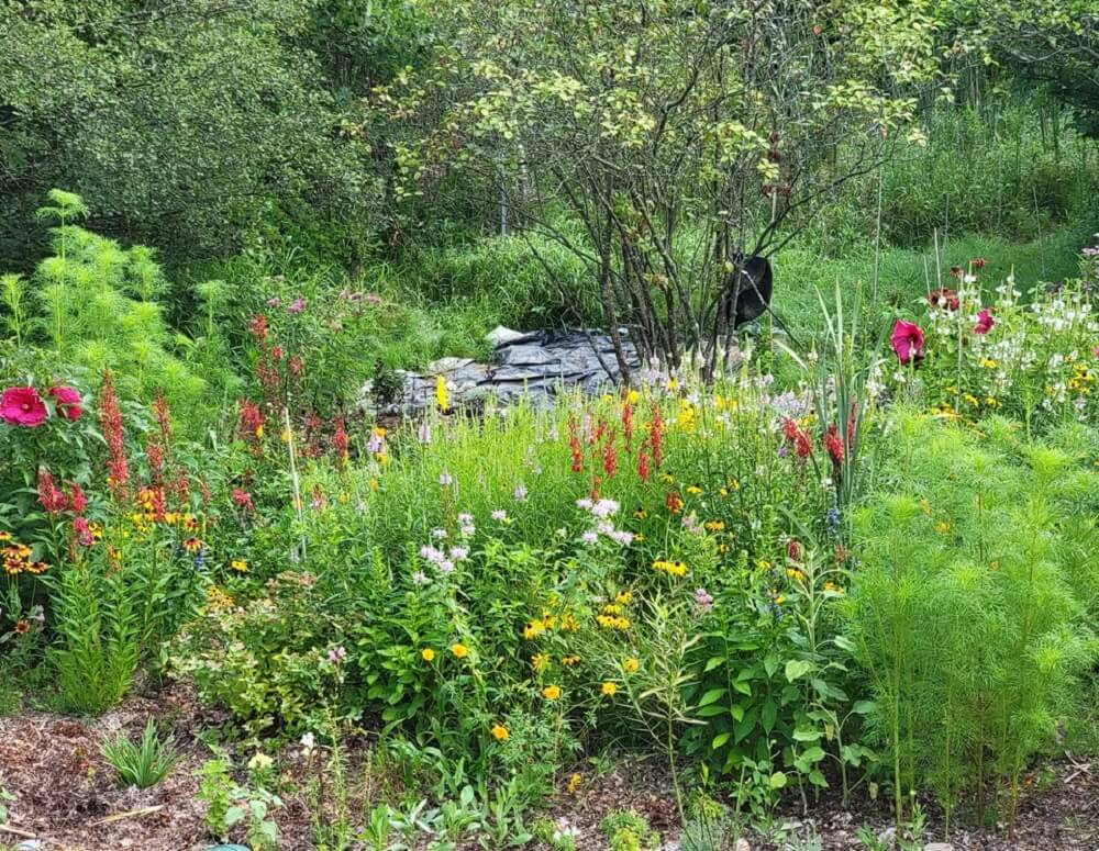 "This is so well done!"