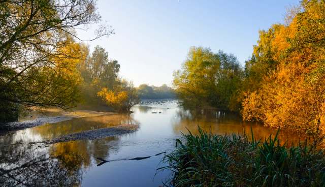 It will require the continued, concerted efforts of conservationists.