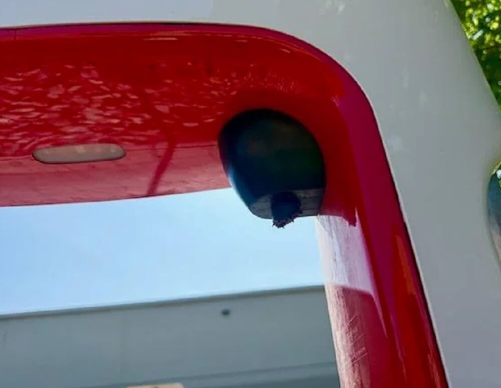 "Wondering if this is anti-Elon vandalism."