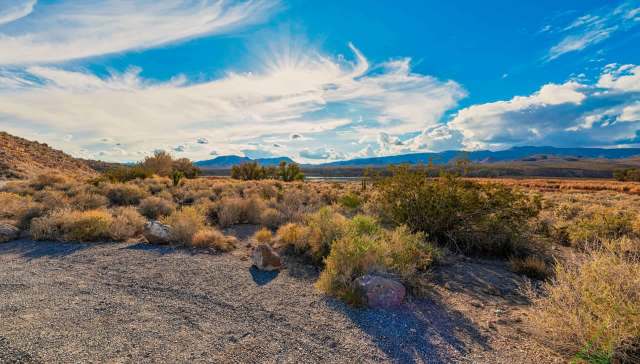 "Dangerous, cruel and costly."