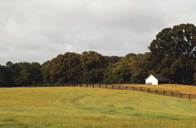 "Beyond what you might think."