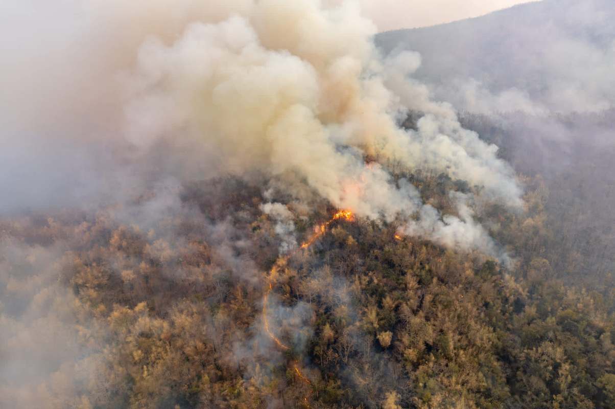 It can prove perilous for both humans and wildlife alike.