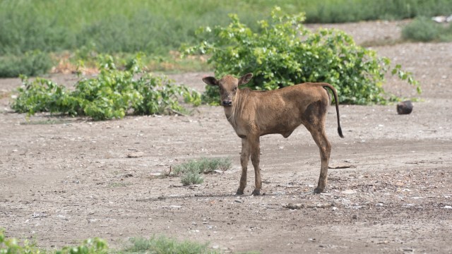 It affects both farmers and consumers.