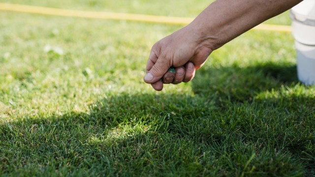 It is important to read labels.