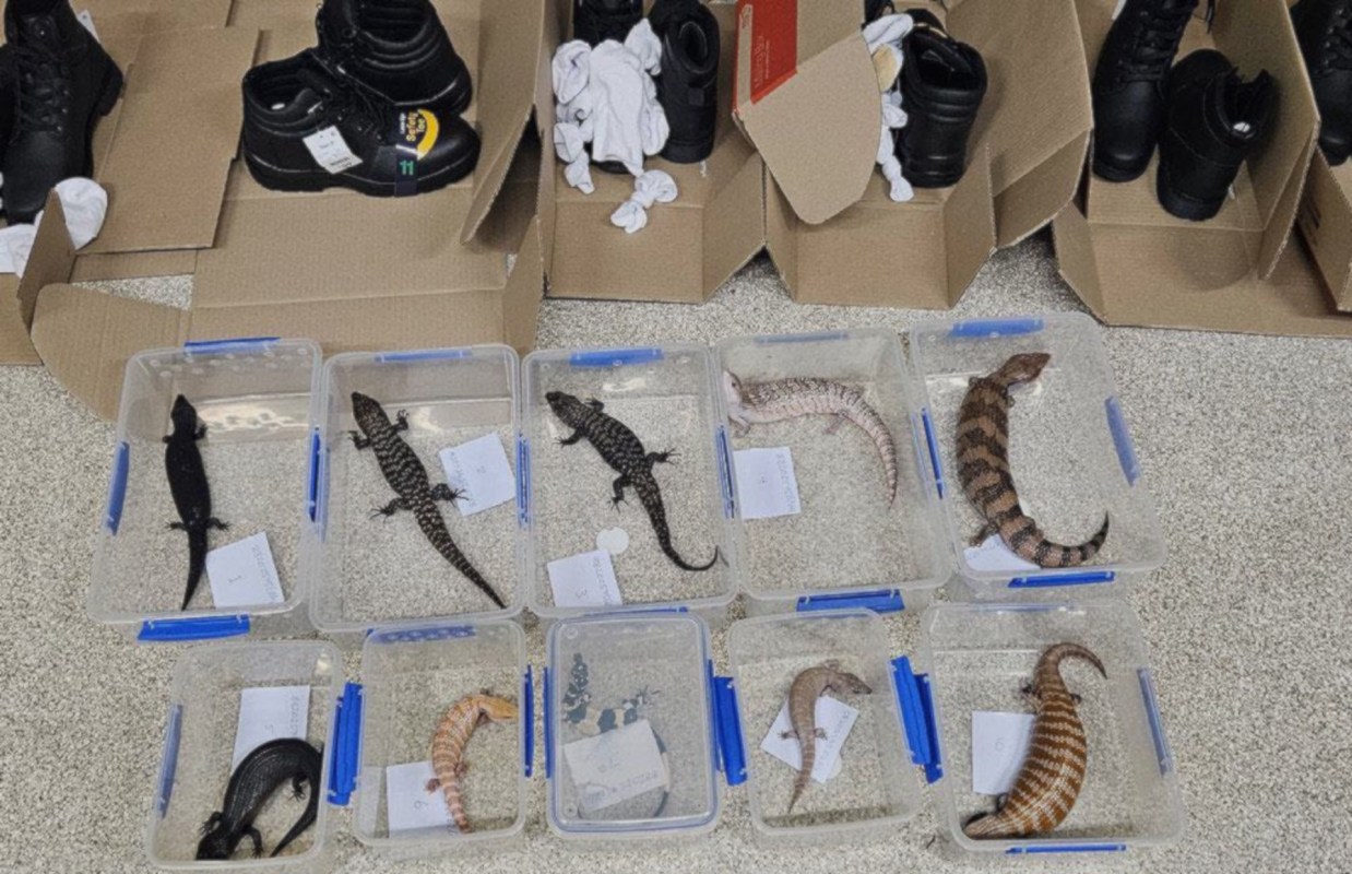 "We will find you, we will stop you."