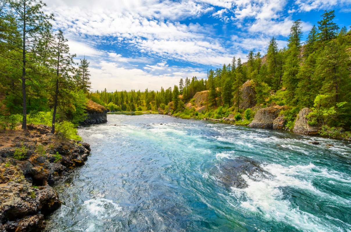 "Environmental victories are still possible and happening!"