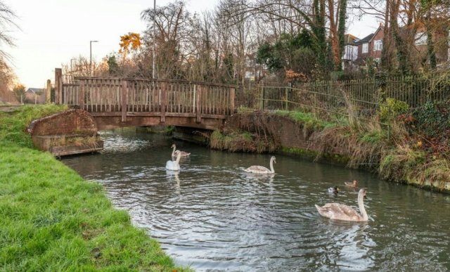 It demonstrates the crucial role local conservation efforts play.