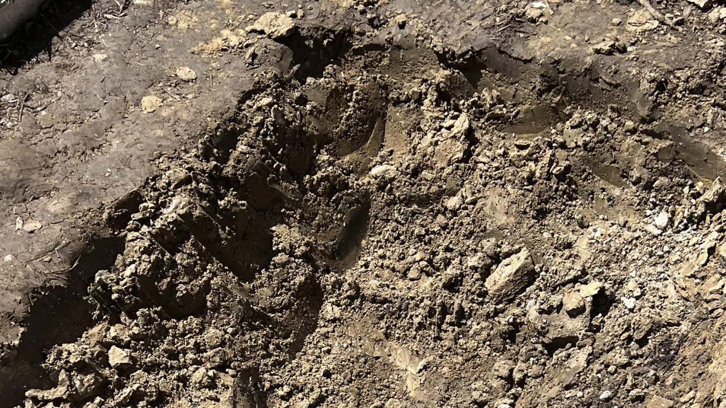 "We actually dug another foot, and it's still like this."