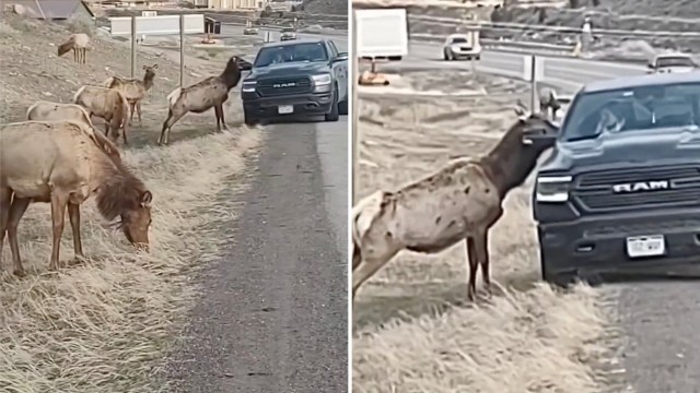 "I can't believe that has to be said to anyone."