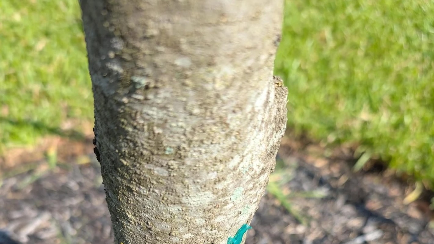 Ultimately, the community's consensus and advice were clear.