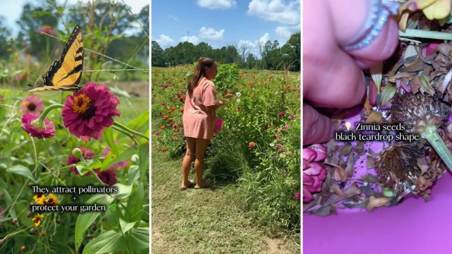 "They're so pretty."