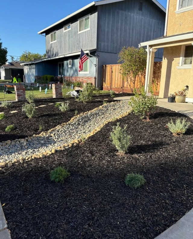 "This garden is really coming to its own."