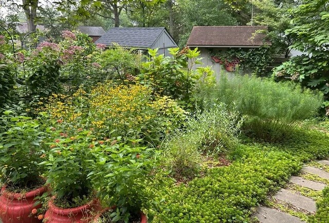 "Absolutely gorgeous."