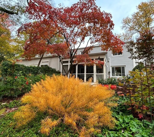 "Absolutely gorgeous."