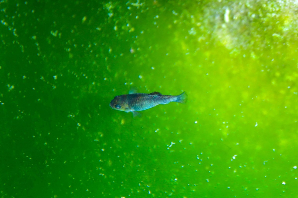 "We're trying to figure that out."