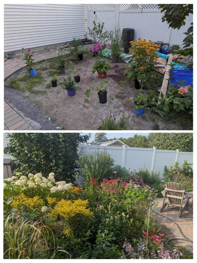 "Amazing work and beautiful garden!"