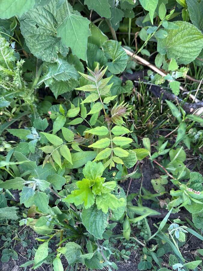 It creates serious risks for both people and the environment.