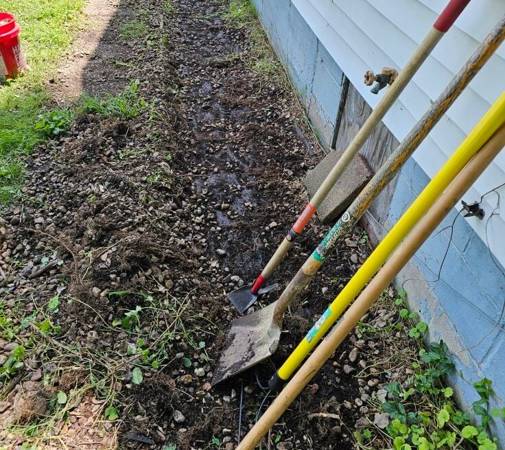 Her previous efforts were in vain.