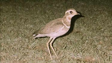 "That is brilliant news."